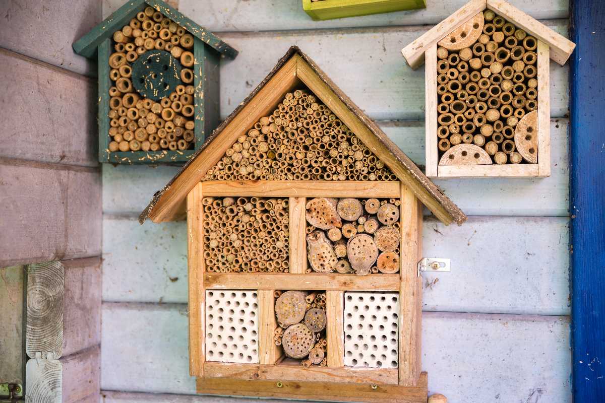 An assortment of wooden beneficial insect houses, designed with natural materials like bamboo and wood pieces, are mounted on an outdoor wall. 