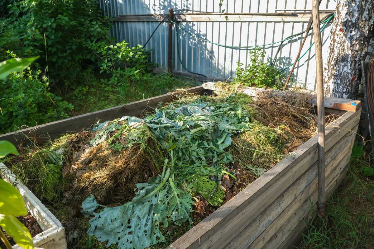 A wooden compost bin filled with green and brown organic materials, including a compost starter, leaves, grass clippings, and twigs. 