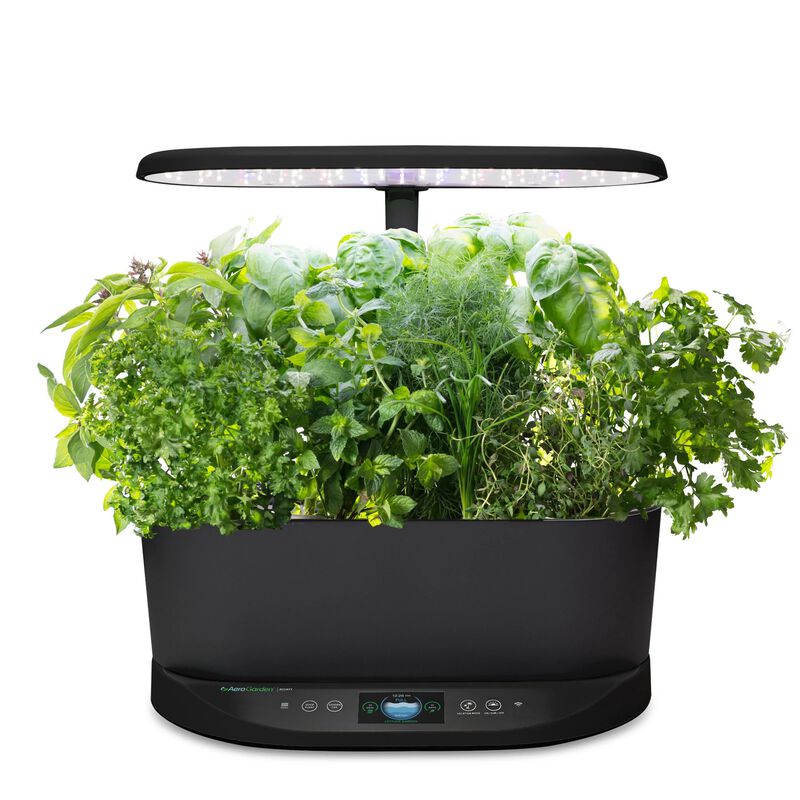A black indoor AeroGarden Bounty with an LED light above. Various green herbs, including basil, parsley, and cilantro, are growing densely within the planter. 