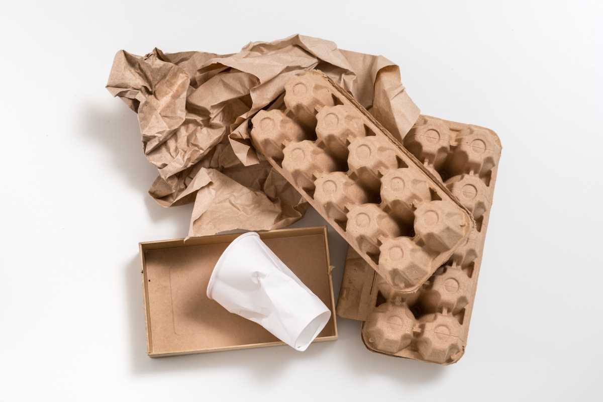 A crumpled piece of brown paper, two cardboard egg trays, a small cardboard box, and a white crumpled paper cup lie scattered on a white surface.