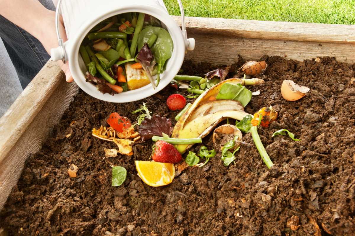 A person is dumping a container of food scraps, including banana peels, orange peels, strawberry tops, and vegetable scraps, into a wooden compost bin filled with rich, dark soil. 