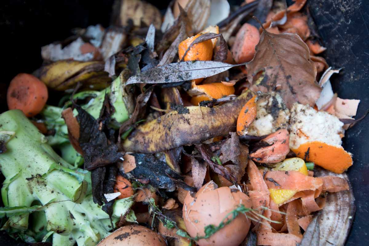 A compost bin filled with various organic materials. The mixture includes food scraps like banana peels, orange rinds, egg shells, vegetable peels, and coffee grounds. 