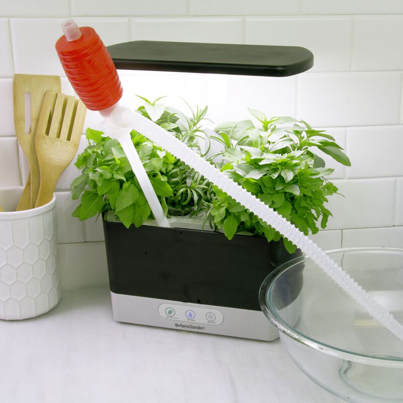 A small indoor hydroponic garden is placed on a kitchen counter with lush green plants growing under an LED light. with a Rinse and Refill Siphon.