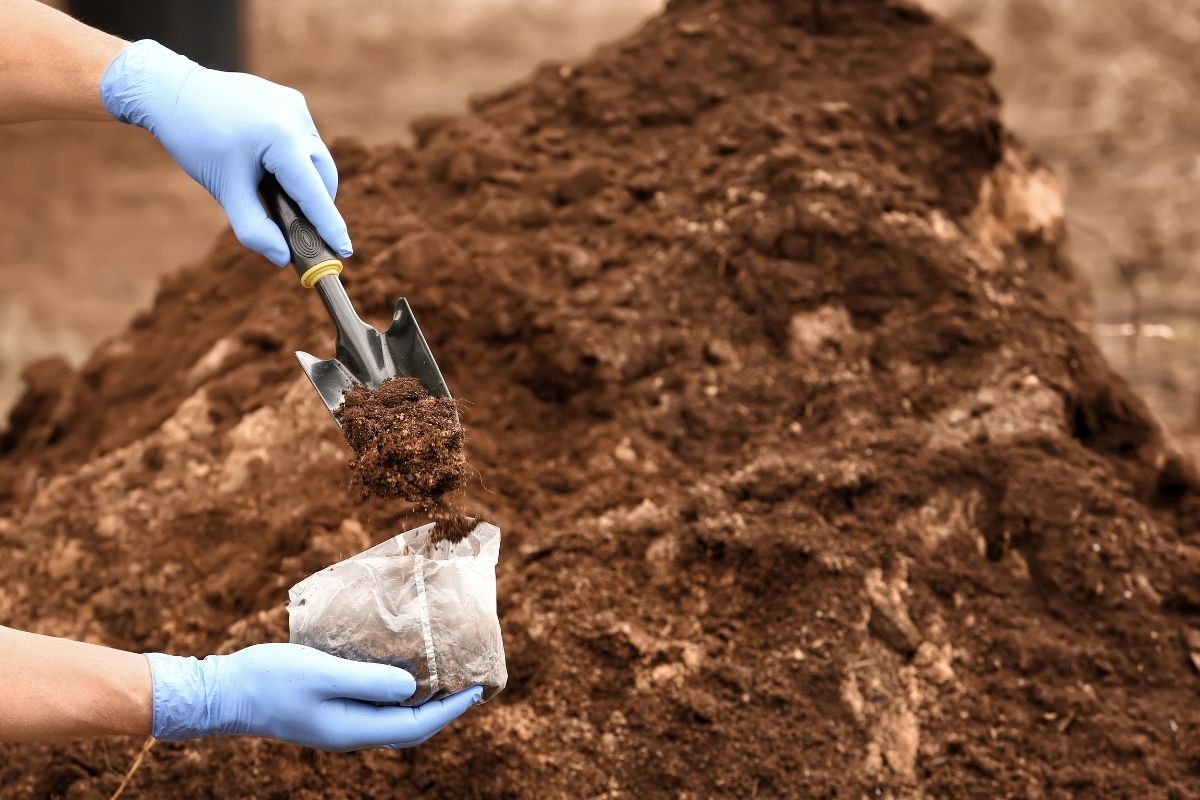A person wearing blue gloves uses a small trowel to scoop soil into a clear plastic bag, following a guide to soil.