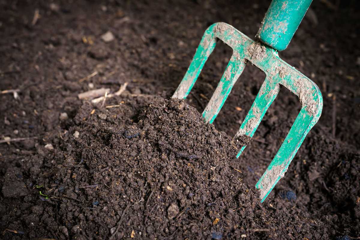 A green garden fork partially inserted into dark, rich topsoil.