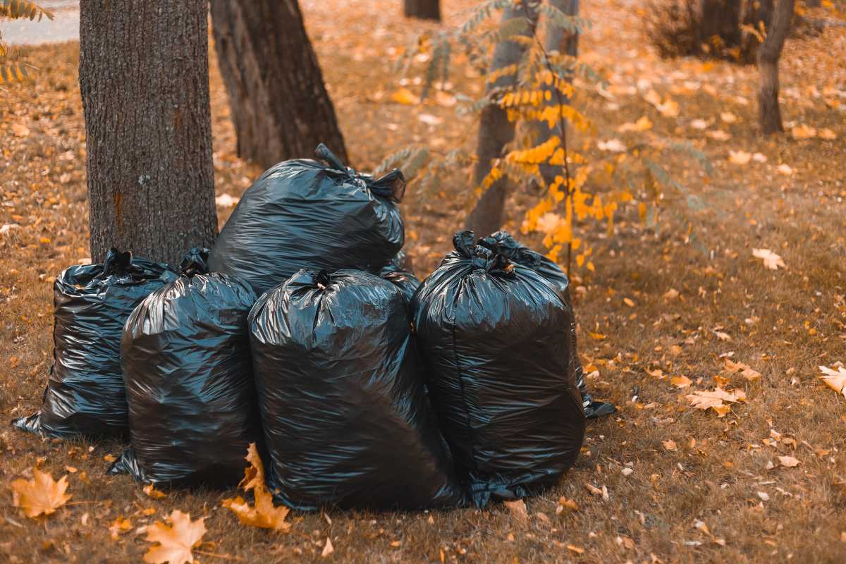 Six black garbage bags are piled on the grass near some trees in a garden, waiting for compost collection.