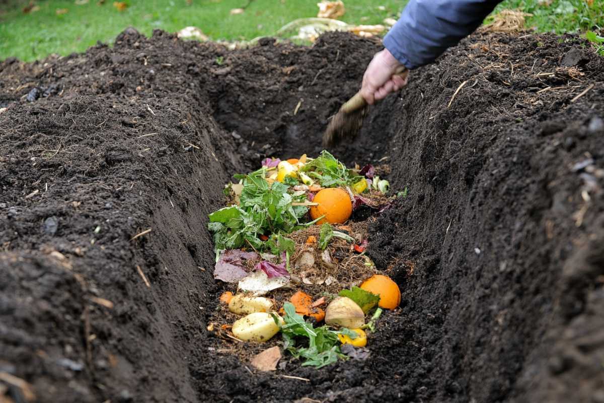 A person is adding kitchen scraps, including vegetables and peels, into a deep trench for trench composting. 