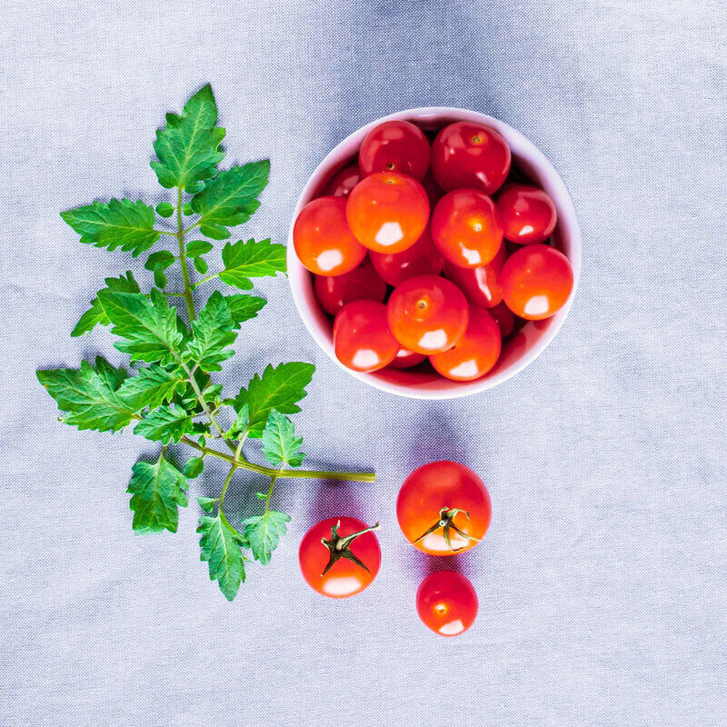 A white bowl filled with small red AeroGarden tomatoes sits on a light gray cloth. Next to the bowl are a few loose cherry tomatoes and a sprig of tomato plant leaves.