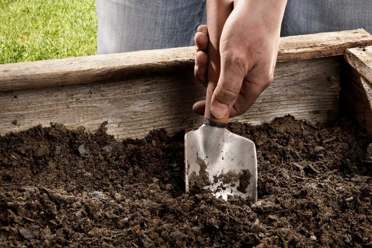 Hands holding a small gardening trowel, digging into dark, rich soil in a wooden-raised garden bed. 