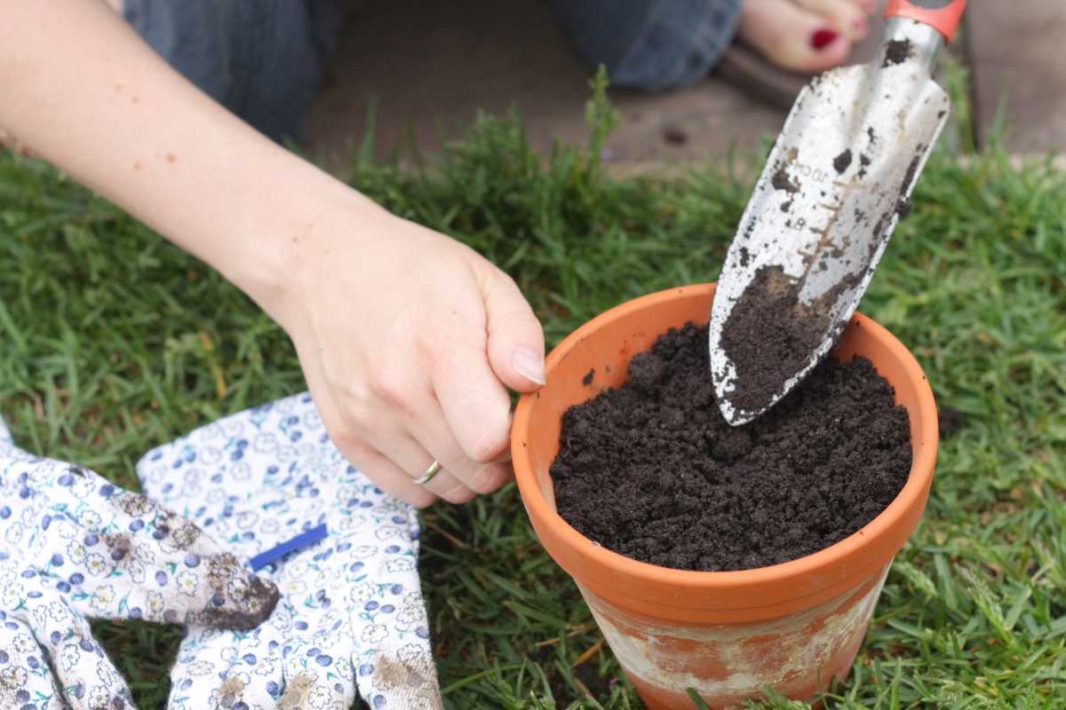 A person is filling a small terracotta pot with soil using a garden trowel.