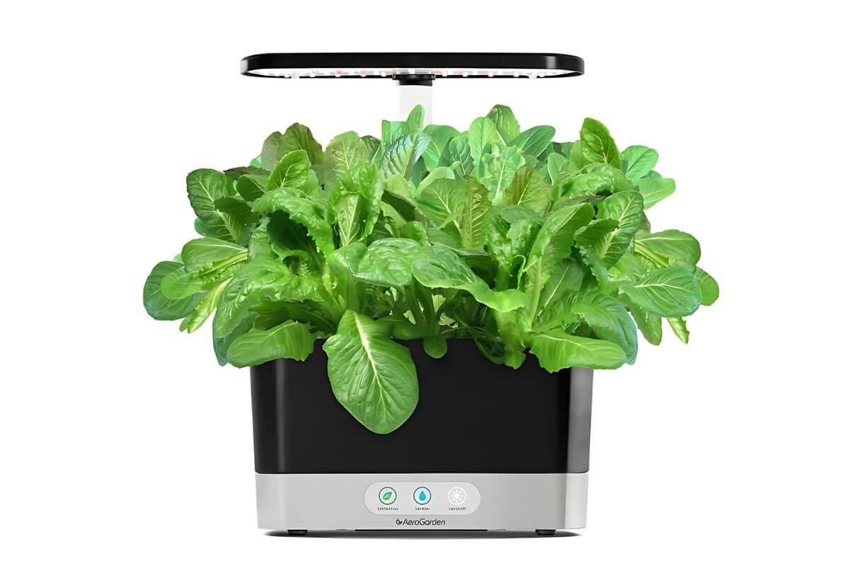 AeroGarden with lettuce, growing under a rectangular LED grow light. The compact black and silver base features control buttons for lighting and watering.