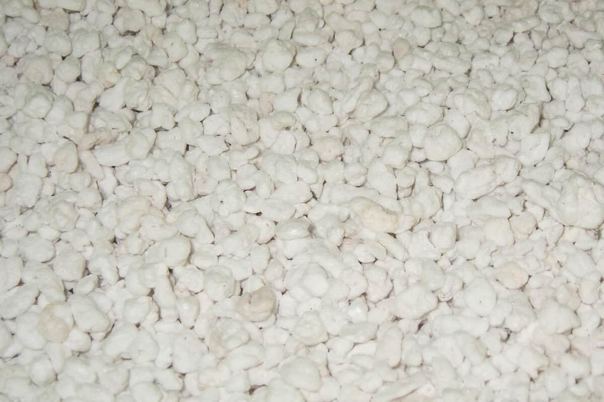 Growing Medium - Perlite