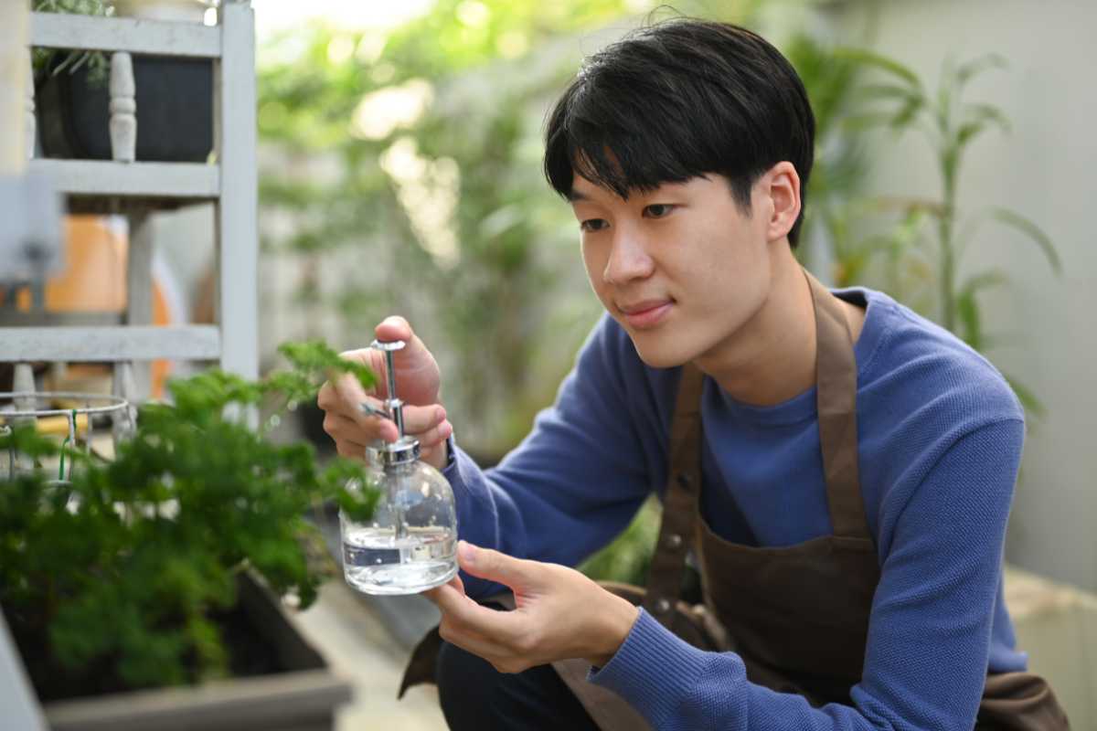 A person wearing a blue shirt and brown apron is using a spray bottle to water a plant in a garden.