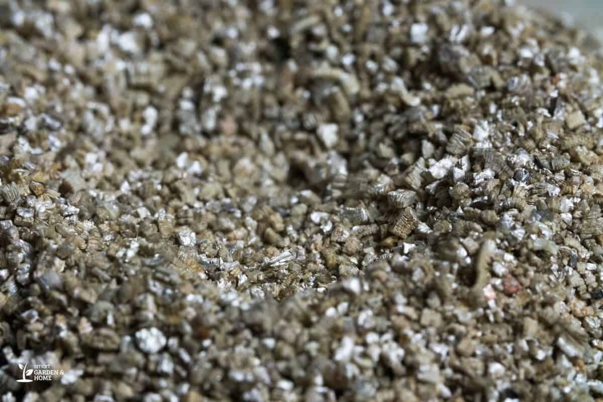 Close Up View of Vermiculite