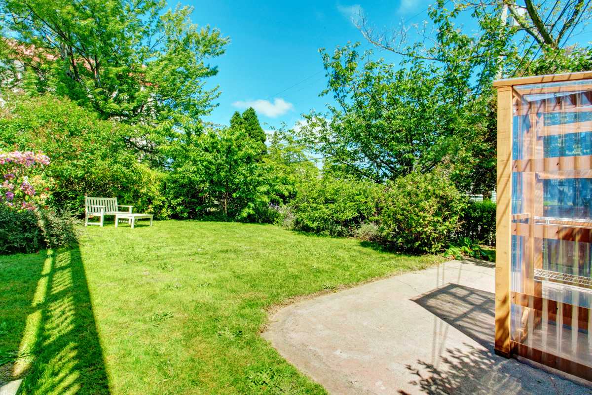 A lush, green backyard with vibrant trees and shrubs surrounding a well-kept lawn. 