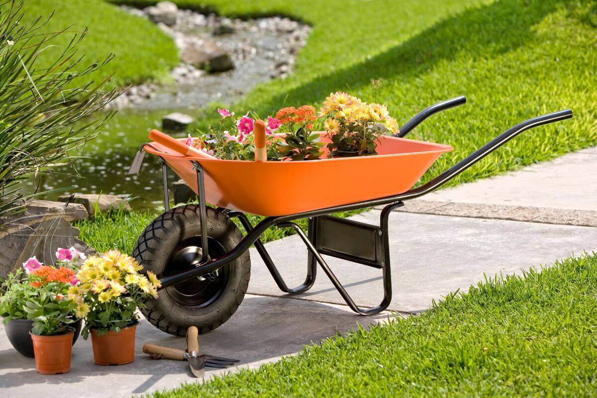 A bright orange wheelbarrow filled with vibrant flowers sits on a paved pathway next to a grassy lawn. 