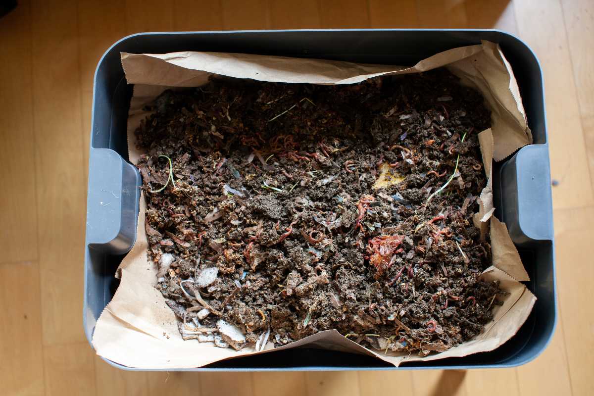 A compost bin filled with dark, rich soil mixed with organic materials such as shredded paper, vegetable scraps, and earthworms for worm castings.