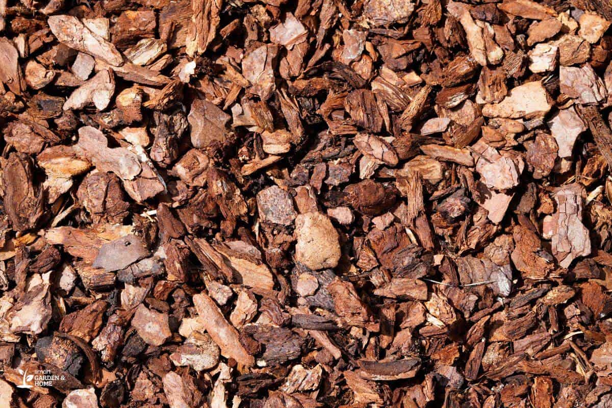 Close-up view of a surface covered in various sizes and shapes of aged pine bark mulch.