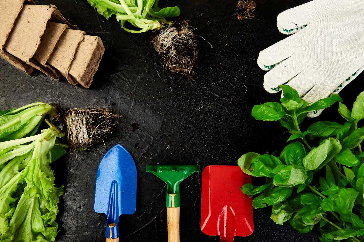 A flatlay of gardening tools and supplies on a dark surface shows everything you need for how to make potting soil. It includes a blue trowel, a green rake, a red trowel, seedlings with roots exposed, white gardening gloves, and biodegradable seedling pots. Green leafy plants frame the tools perfectly.