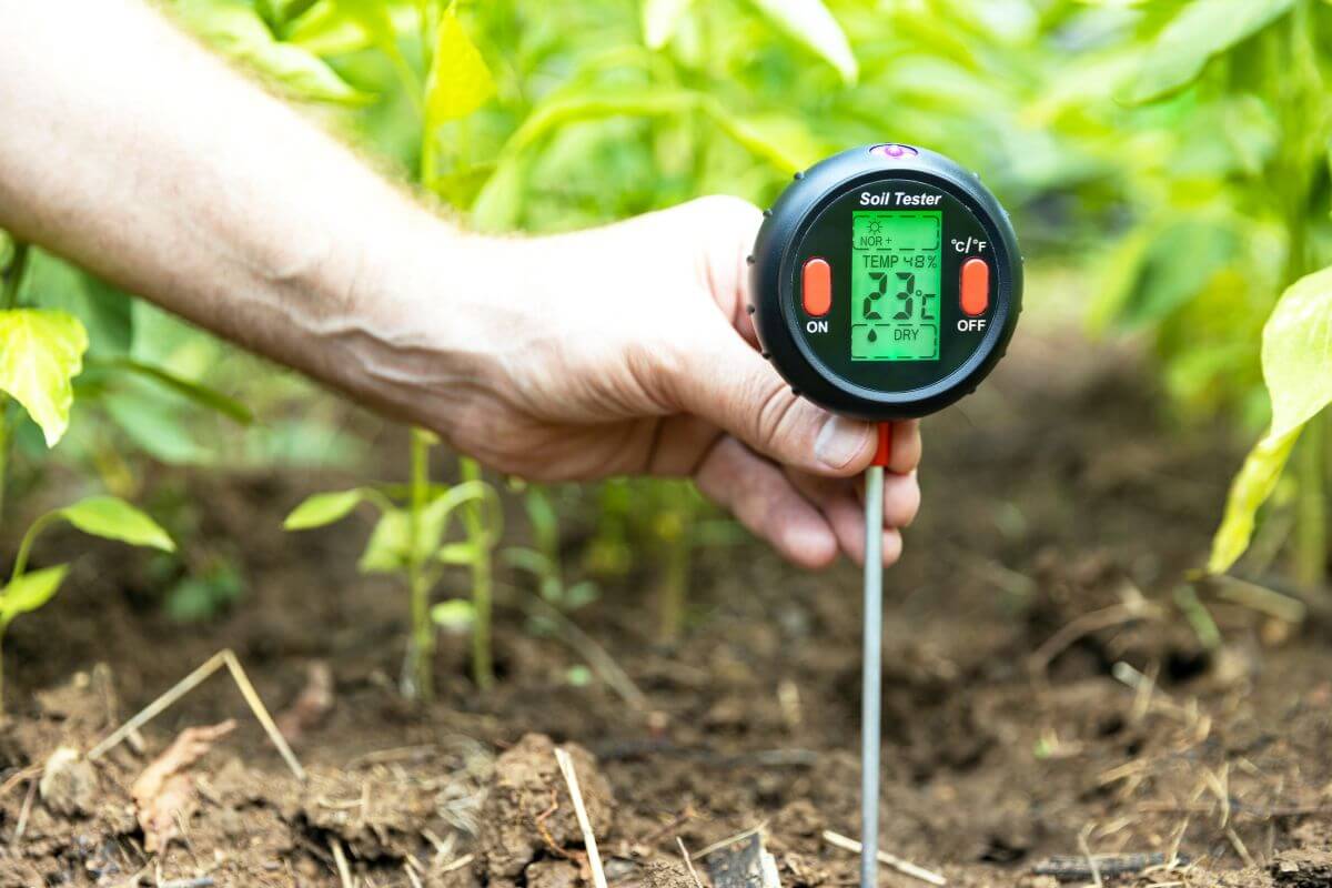 A close-up image of a hand holding a digital soil tester inserted into the ground among green plants. The device's display shows a temperature of 23°C and indicates the soil is dry. 