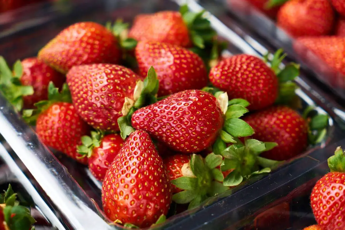 A plastic container filled with fresh, ripe strawberries. The strawberries are bright red with green leaves.