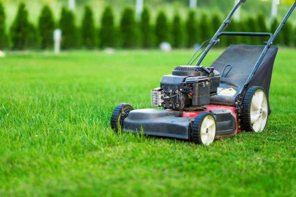 A close-up view of a lawn mower on a grassy lawn. The black and red mower has a grass collection bag attached to its back.