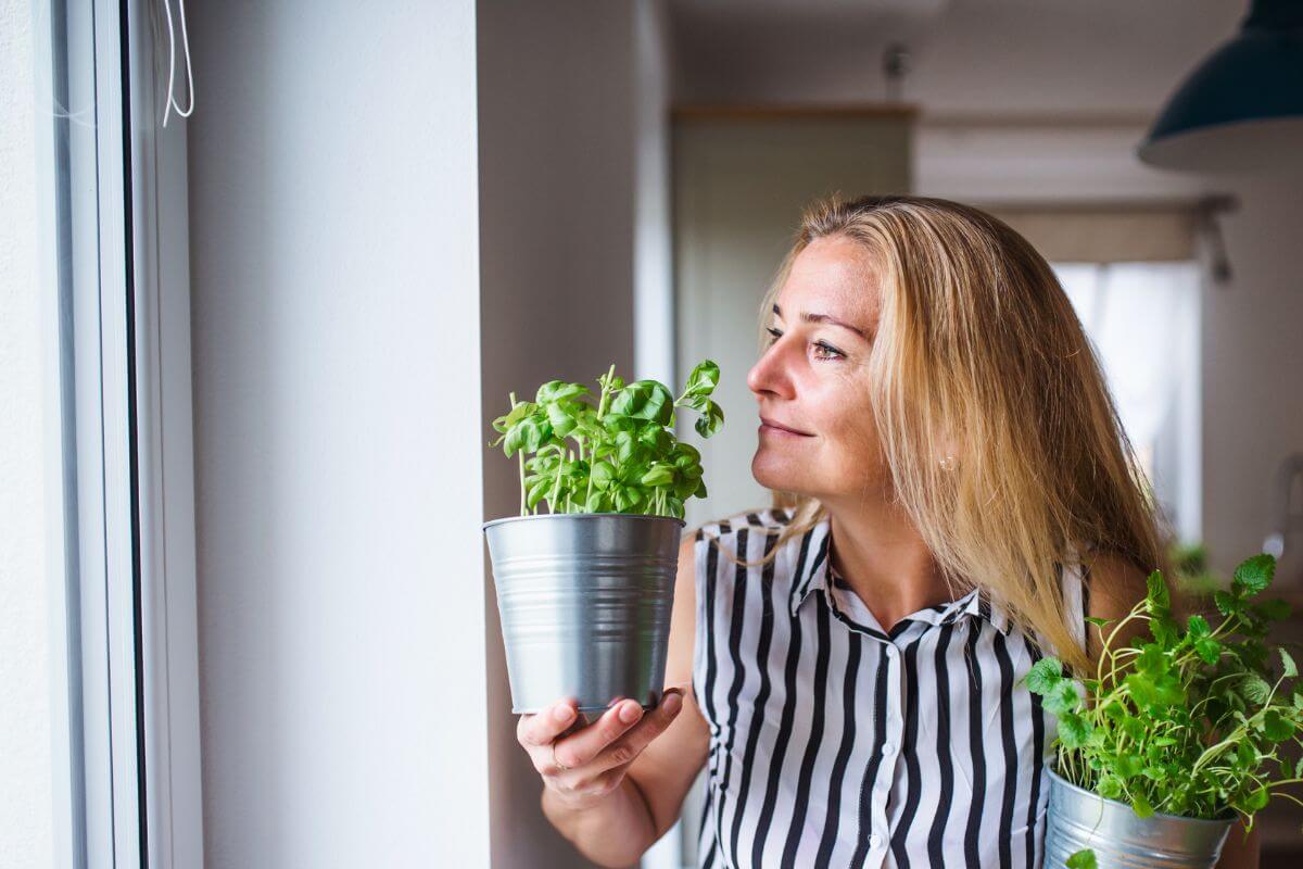 A woman with long blond hair in a striped sleeveless shirt holds a potted basil plant while looking out a window.