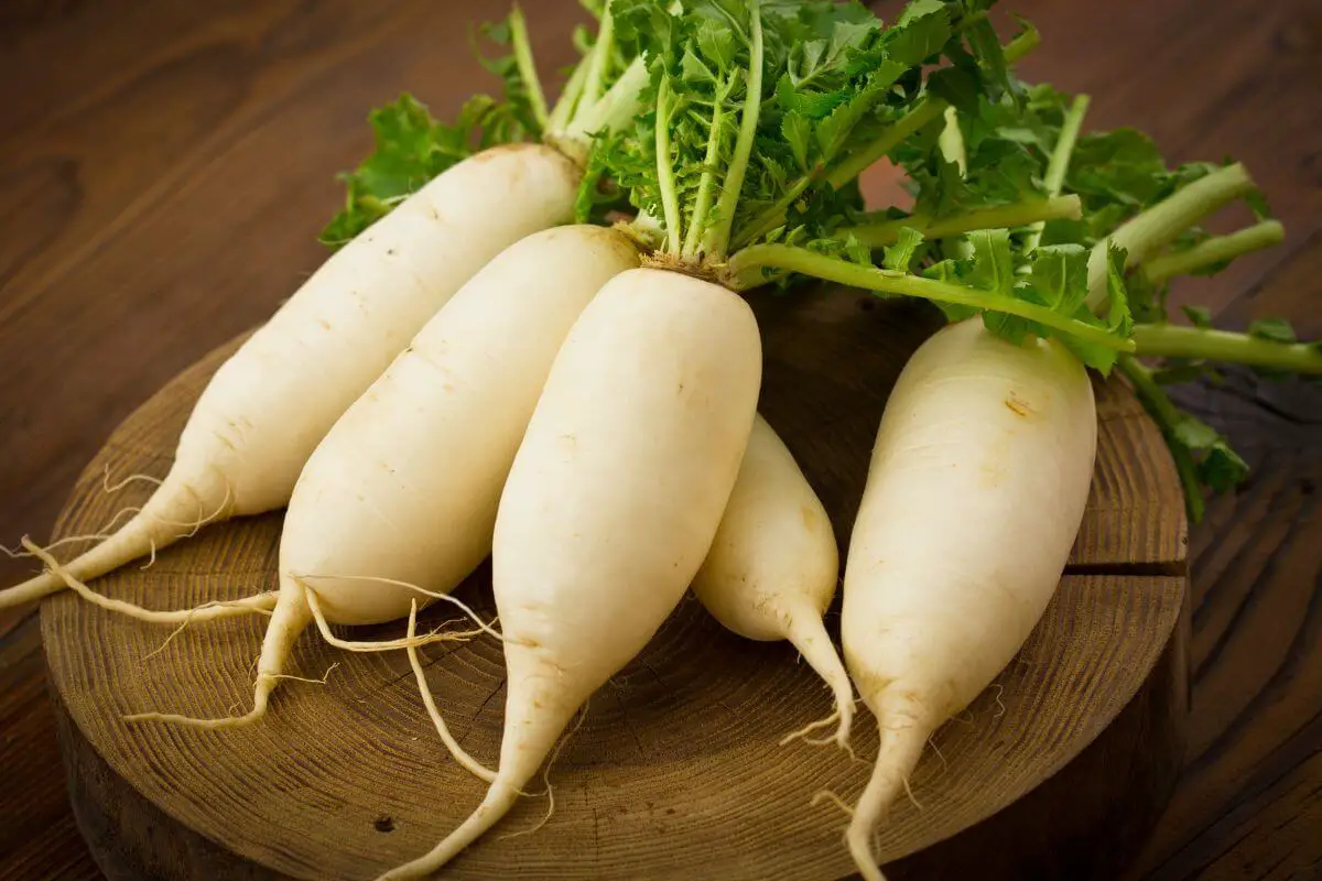 Five fresh radishes with green leaves are arranged on a round wooden cutting board on a wooden table. 