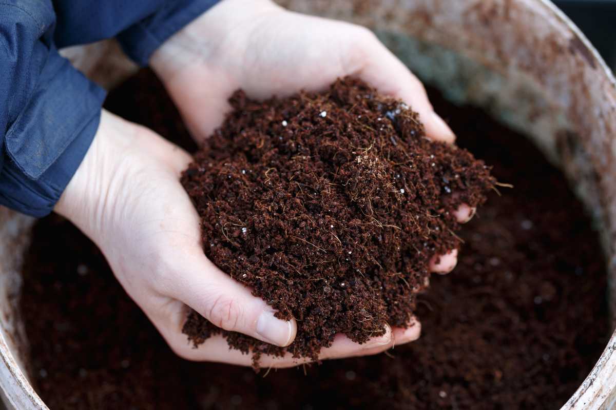 Two hands holding a handful of dark, rich soil with coco coir over a larger container filled with potting soil for indoor plants.