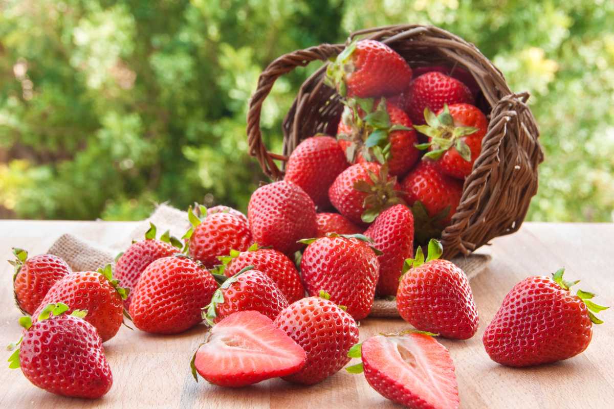 A rustic wicker basket lies on its side, spilling bright red strawberries onto a wooden surface. Some of the strawberries are whole, while a few are sliced in half, revealing their juicy red interiors. 