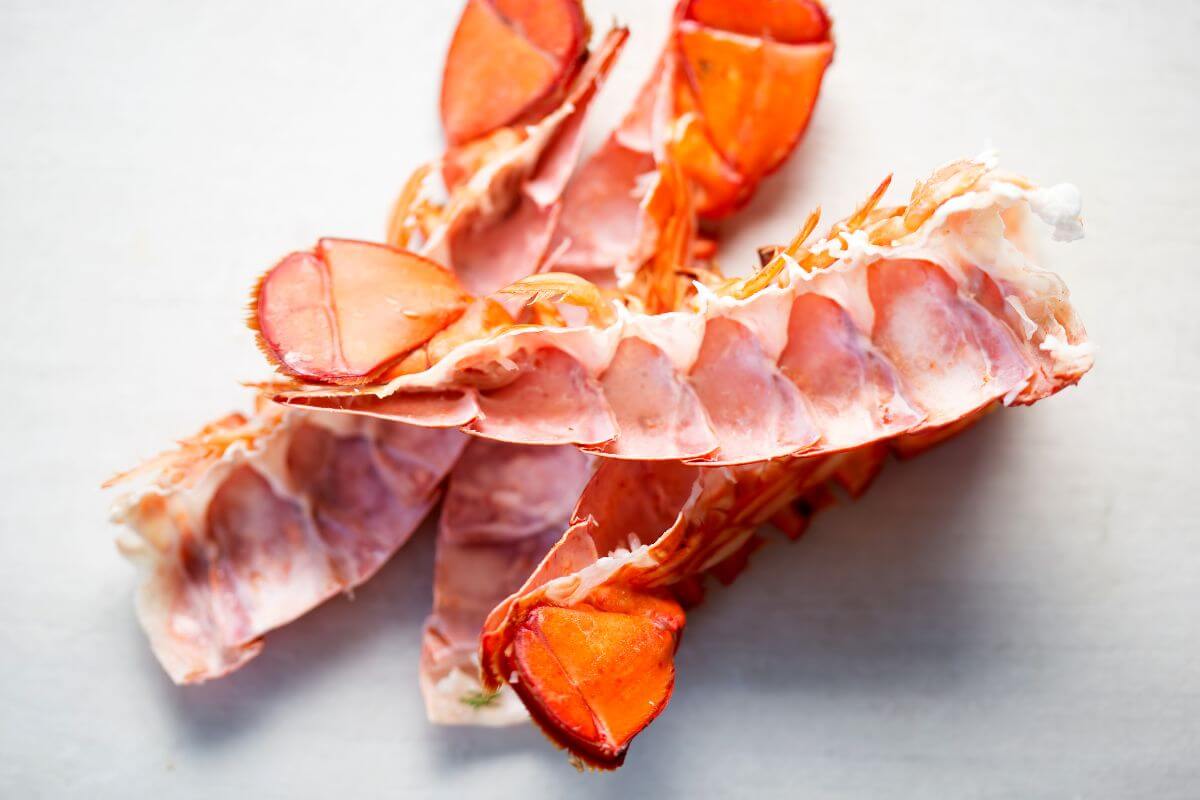 Empty lobster shells arranged in a pile on a white surface, perfect for composting.