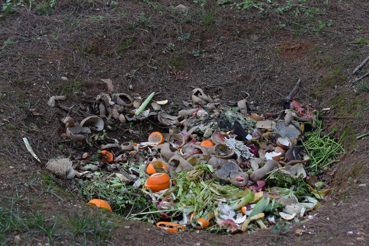 An in-ground composting pit filled with various organic waste materials, including fruit and vegetable peels, eggshells, and plant stems.