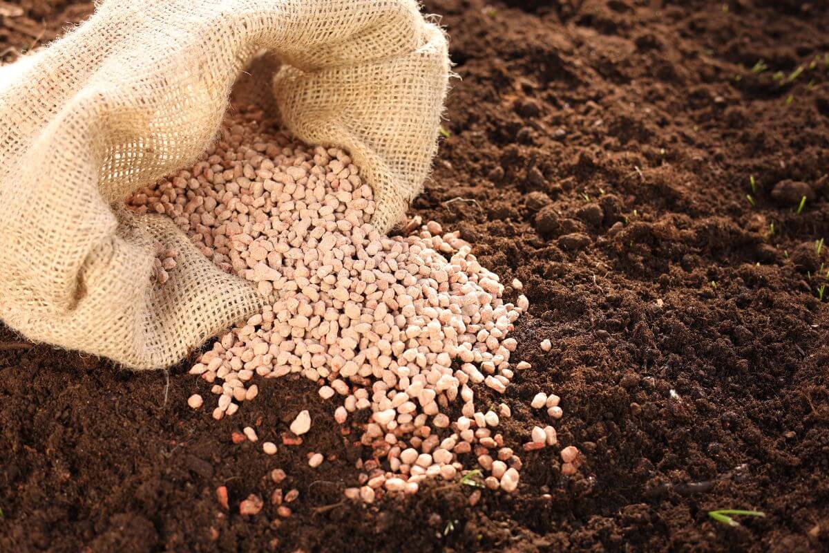 Granule fertilizers partially poured into healthy soil from a small woven bag.