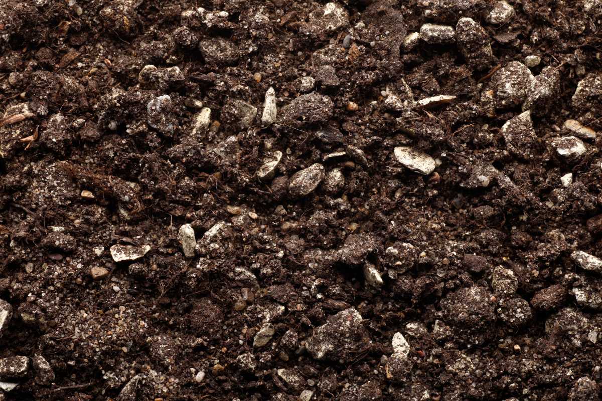 Close-up of dark, rich bonsai soil with small rocks and organic material scattered throughout. 