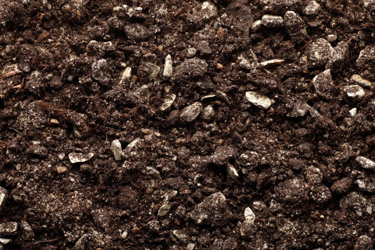 The ideal bonsai soil mix includes pumice, lava rock, and organic material