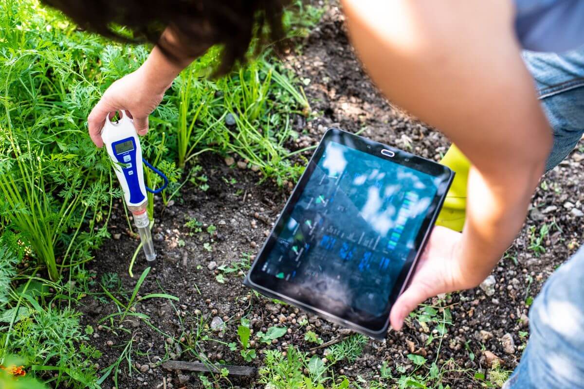 A person holds a tablet in one hand while using a soil ph meter in a garden.