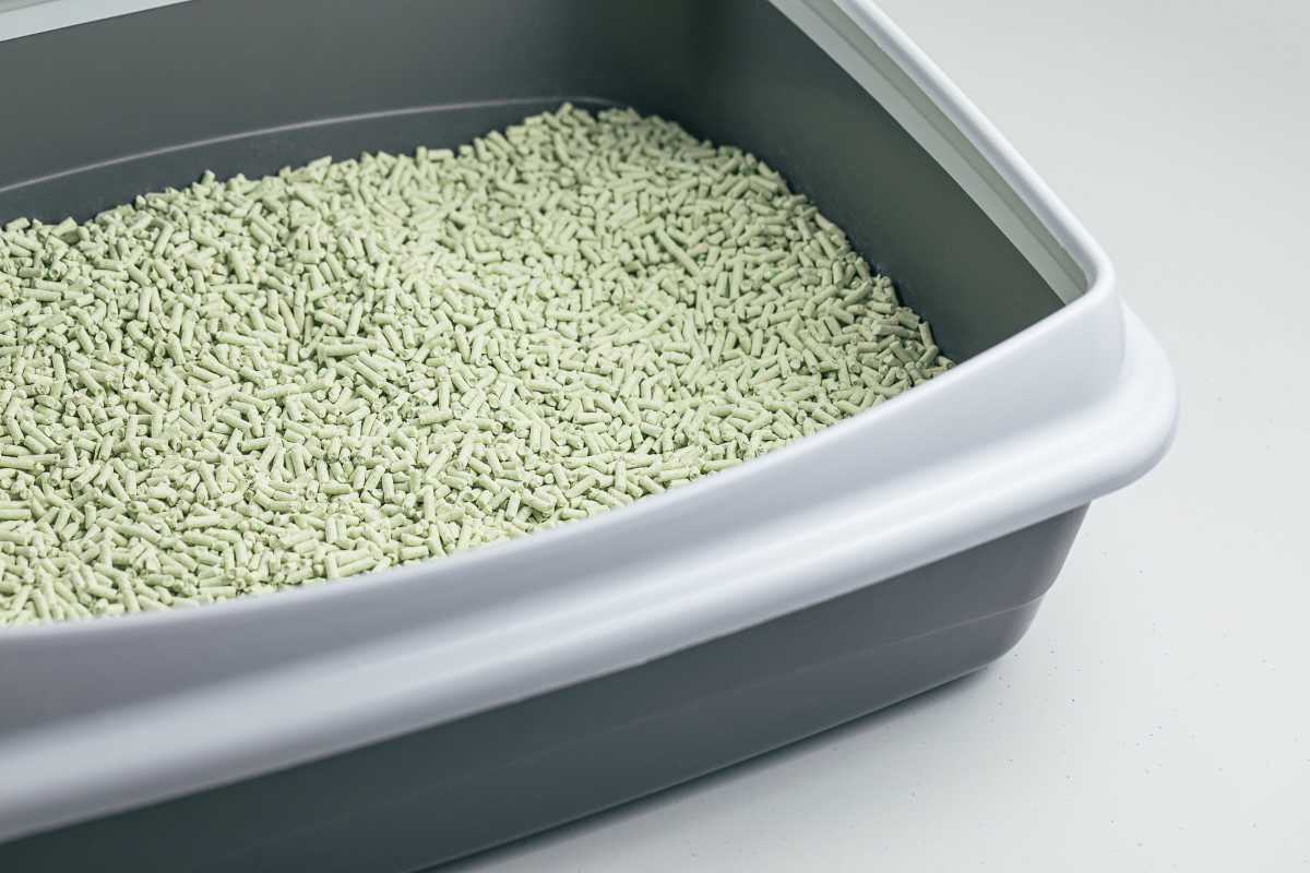 A cat litter box filled with light-colored, biodegradable litter sand. The litter box has a high, sturdy rim and is placed on a light-colored surface.