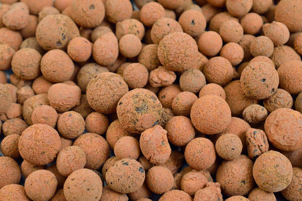 A close-up image of numerous light brown, spherical clay balls of varying sizes, commonly used as a hydroponic growing medium.