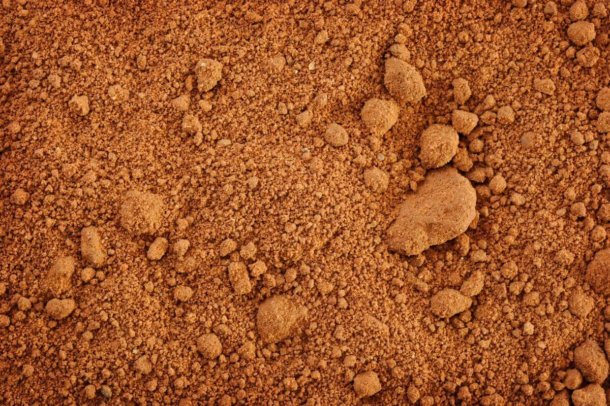 Close-up of reddish-brown clay soil with a mix of fine particles and small clumps.