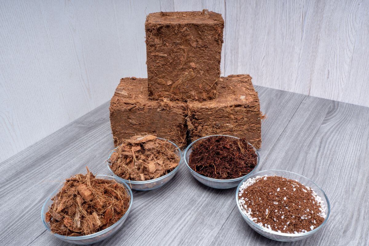 The image shows three blocks of compressed coconut coir stacked in a pyramid shape on a gray wooden surface.