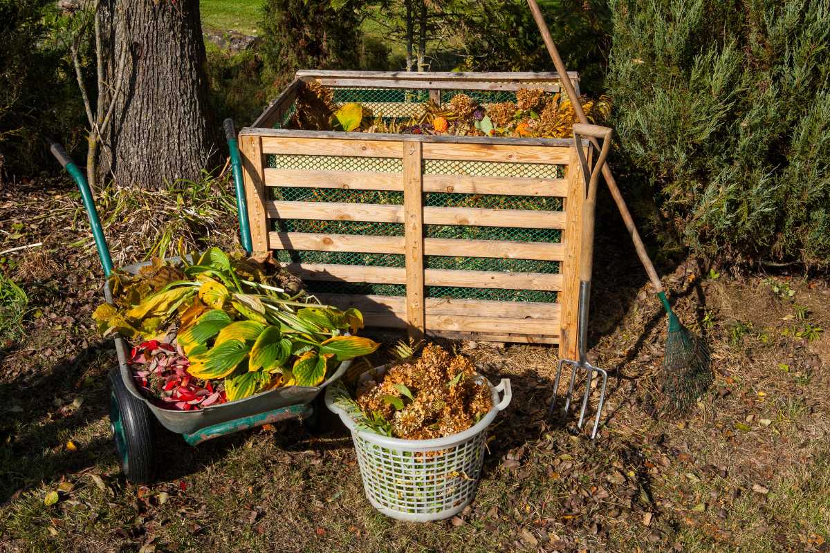 A wooden compost bin filled with garden waste is situated beside a large tree. A wheelbarrow and a laundry basket, both filled with leaves and plant debris.