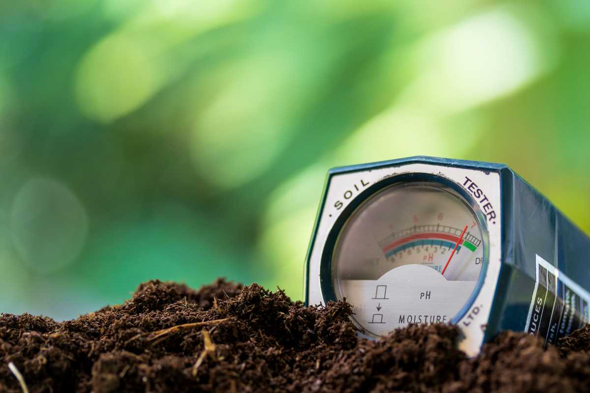 A soil tester inserted into mushroom soil, displaying a dial with color-coded sections measuring pH and moisture levels. 