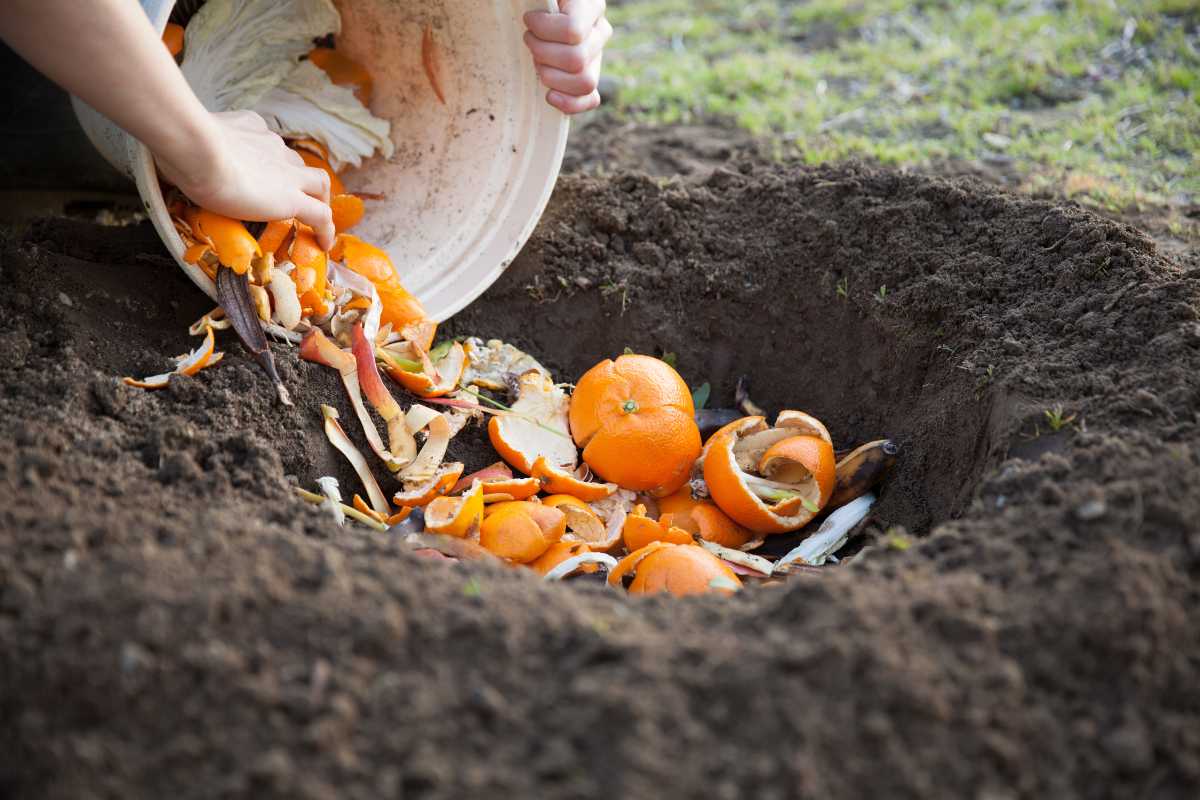 Hands emptying a bucket of orange peels and other food scraps into a large hole in the ground.