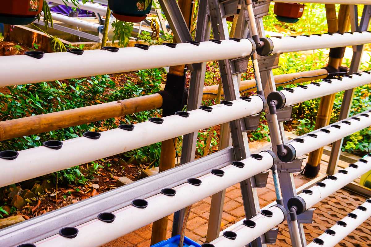 A hydroponic setup featuring several horizontal PVC pipes with small circular openings for plants. 