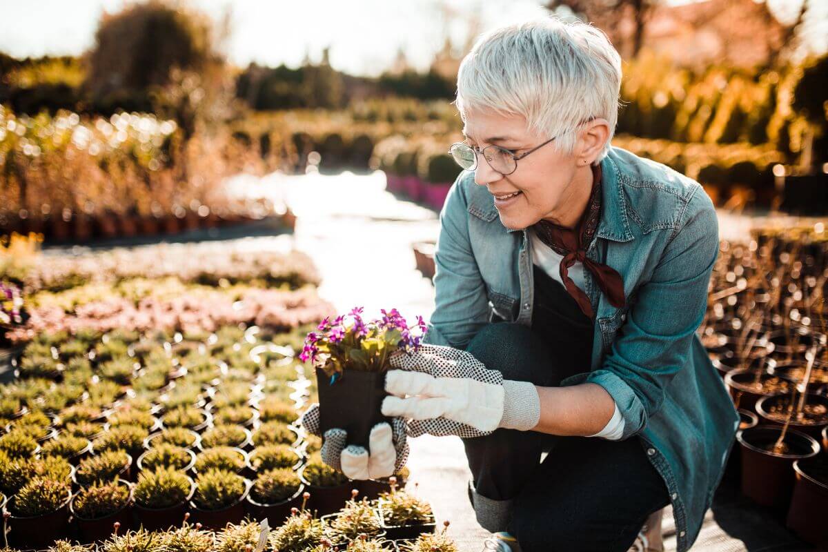 An elderly person is crouching in a garden and is smiling while holding a small potted plant, an example of why gardening is a good hobby.