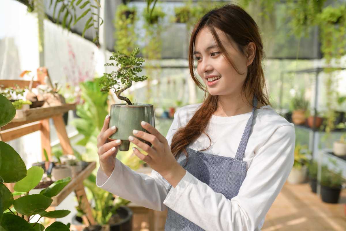 A young woman wearing a gray apron and white shirt smiles while holding a small potted bonsai tree in a greenhouse. 