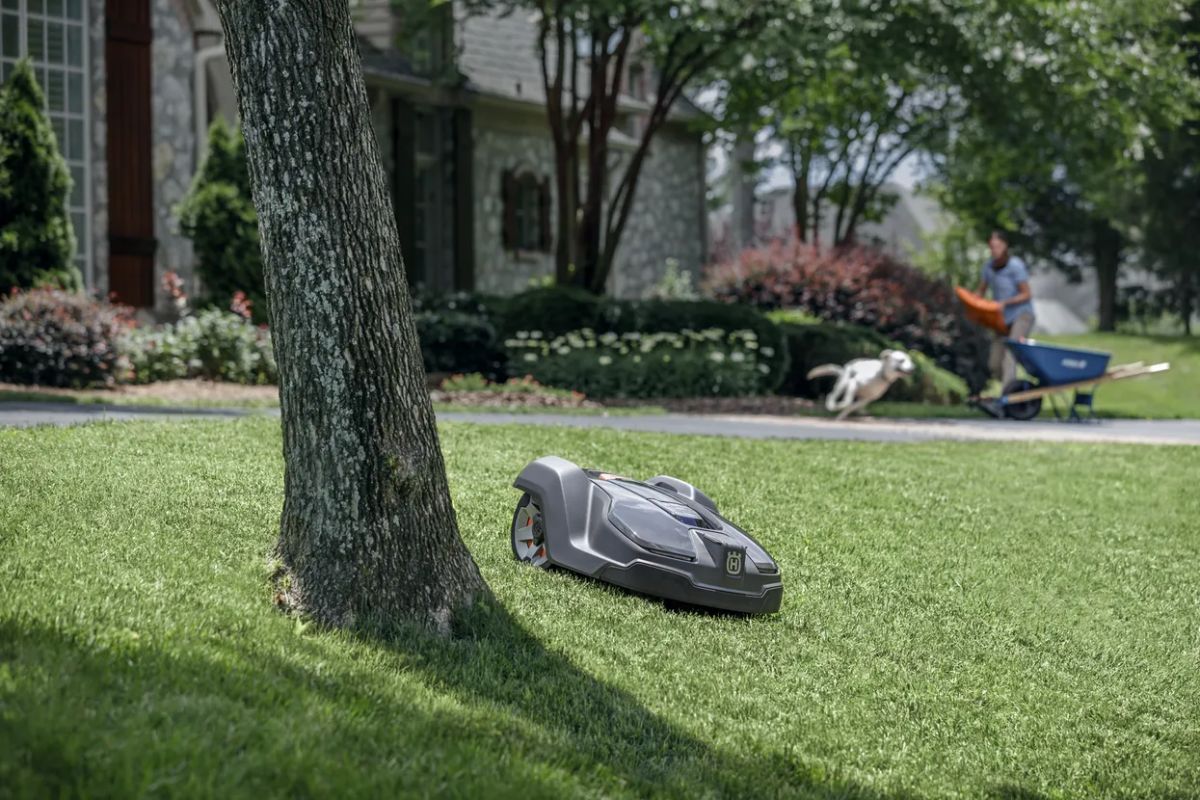 A Husqvarna Automower 430XH is cutting grass near a tree in a well-maintained yard. 