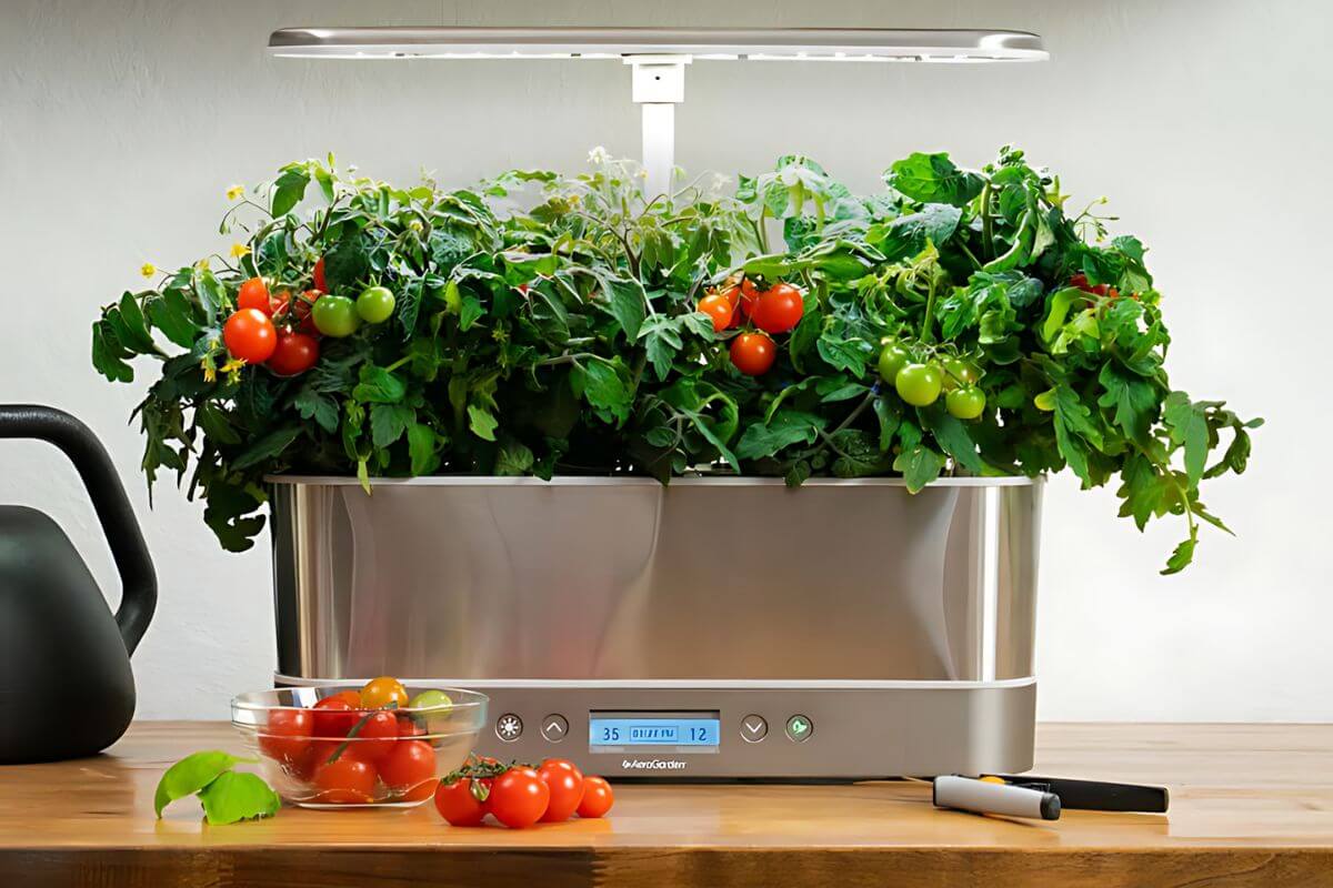 A sleek indoor AeroGarden system with a digital display shows a variety of small tomato plants growing under an LED light. Ripe and green tomatoes are visible on the vines. 