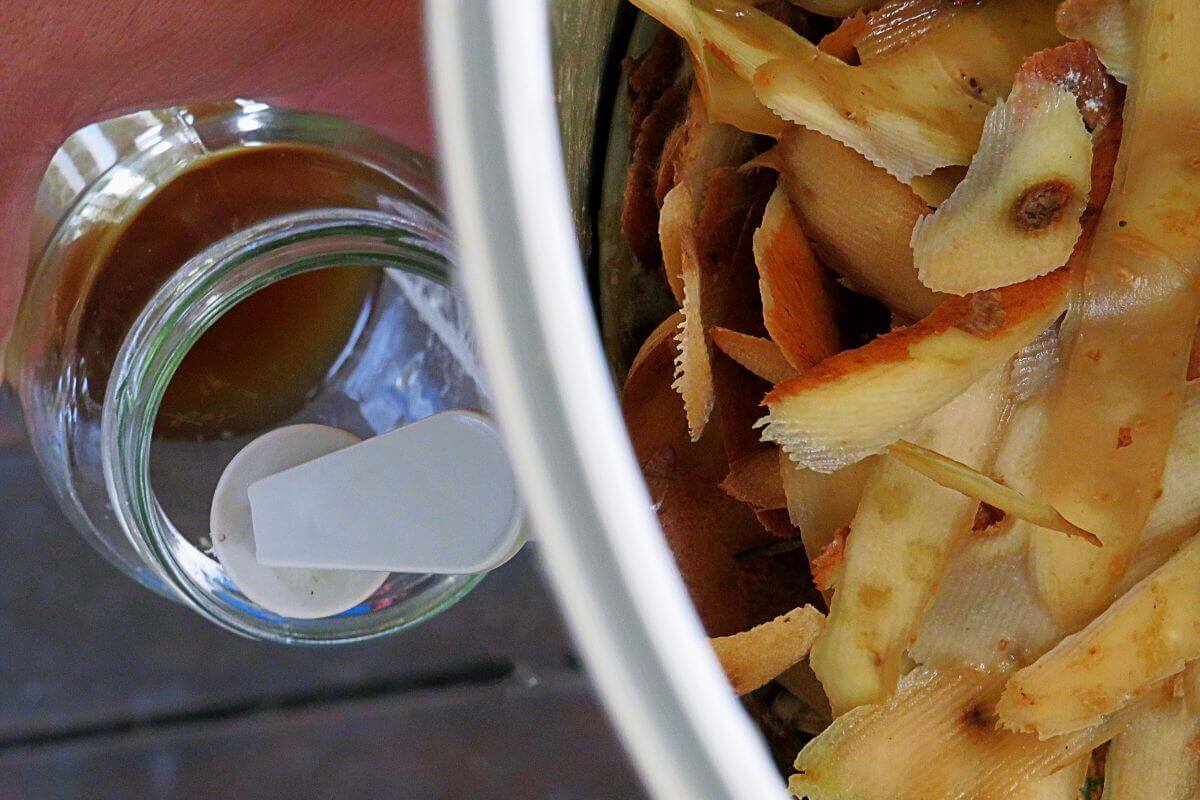 Close-up image showing vegetable peels in a compost bin and a bottle of compost tea next to it.