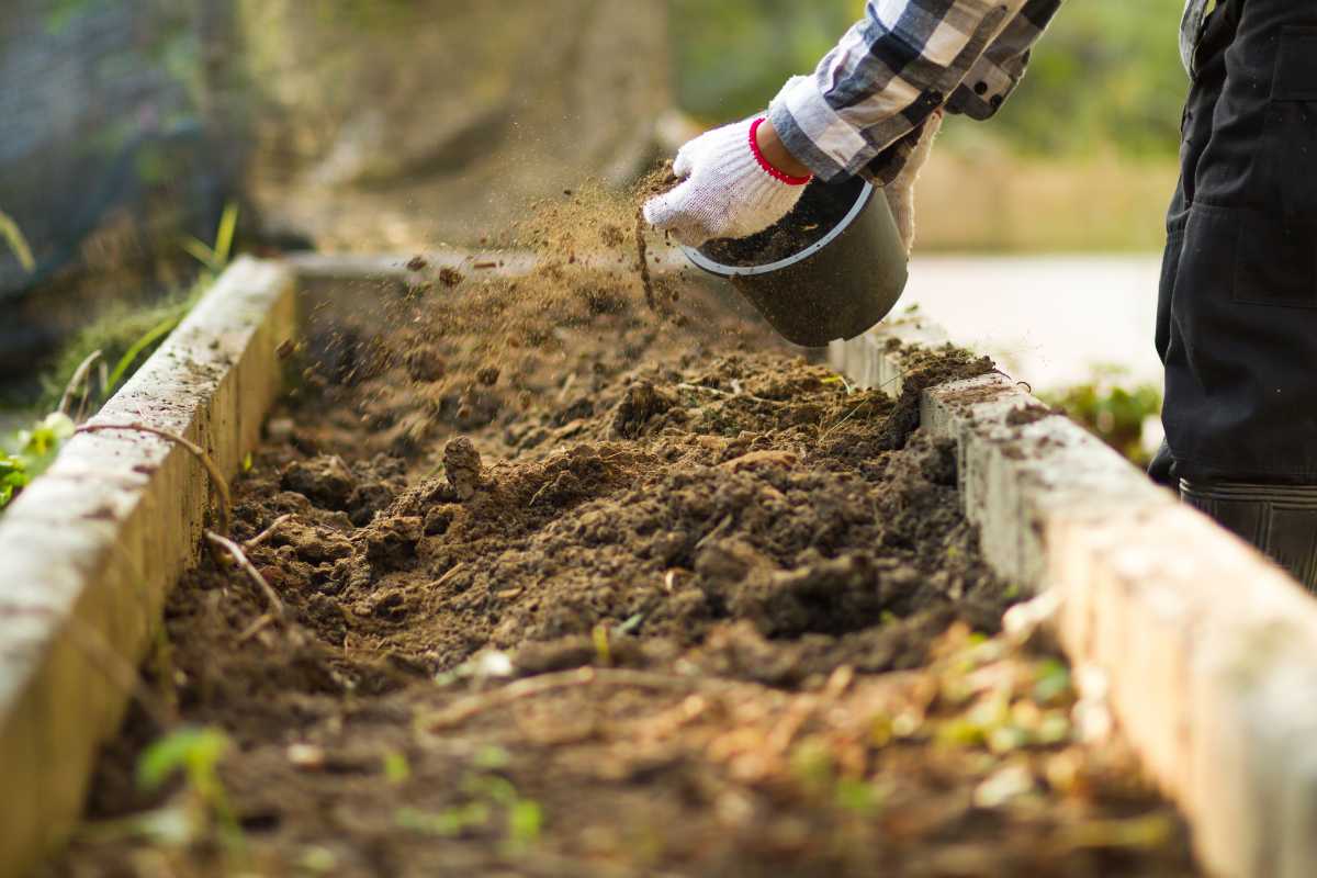 A person wearing a plaid shirt and gloves is spreading topsoil from a black container into a raised garden bed. 